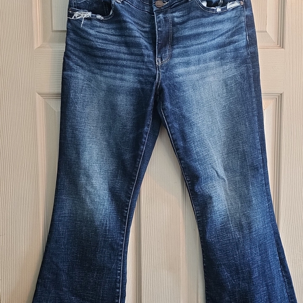 Buckle BKE Payton Blue Jeans